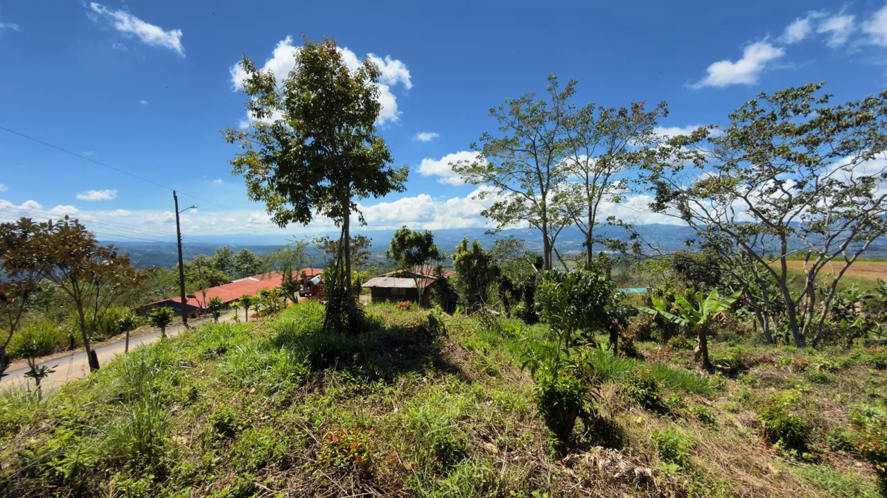 Lot for Sale with nice Views in Miravalles Perez Zeledon
