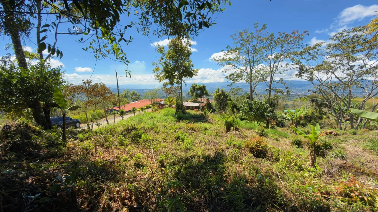 Lot for Sale with nice Views in Miravalles Perez Zeledon — photo 2