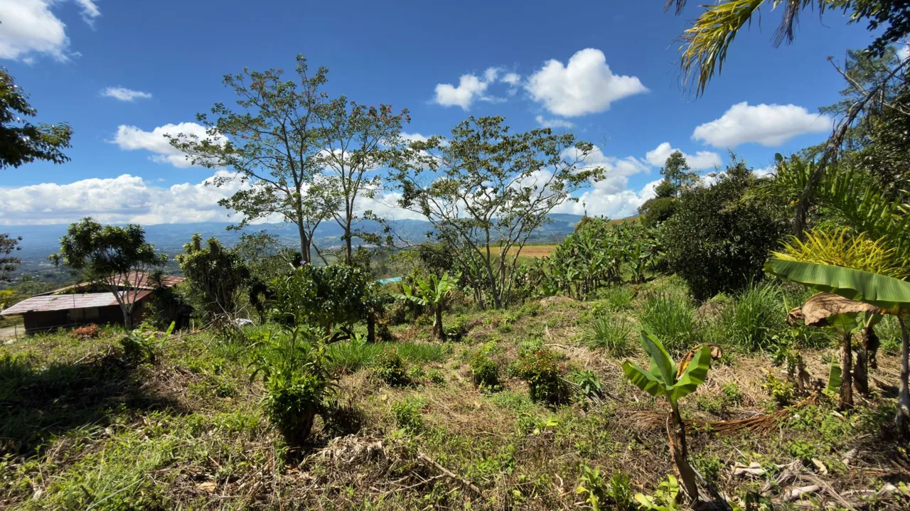 Lot for Sale with nice Views in Miravalles Perez Zeledon — photo 3