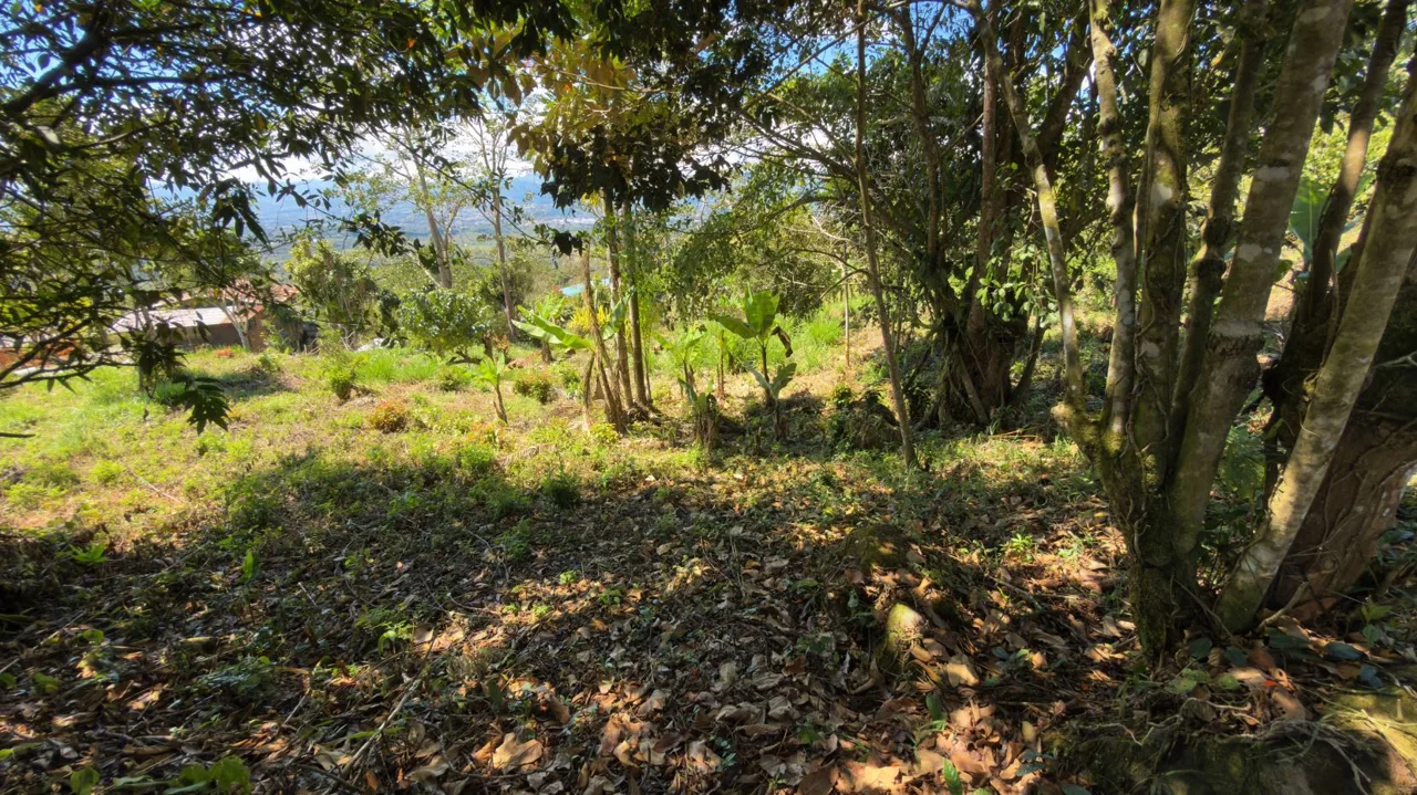 Lot for Sale with nice Views in Miravalles Perez Zeledon — photo 4