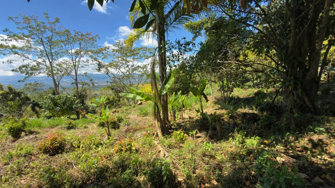 Lot for Sale with nice Views in Miravalles Perez Zeledon — photo 5