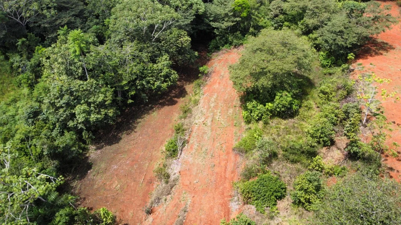 For Sale: 1000 m² lot perfect for residential development — photo 2