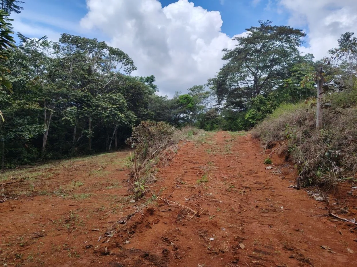 For Sale: 1000 m² lot perfect for residential development — photo 3