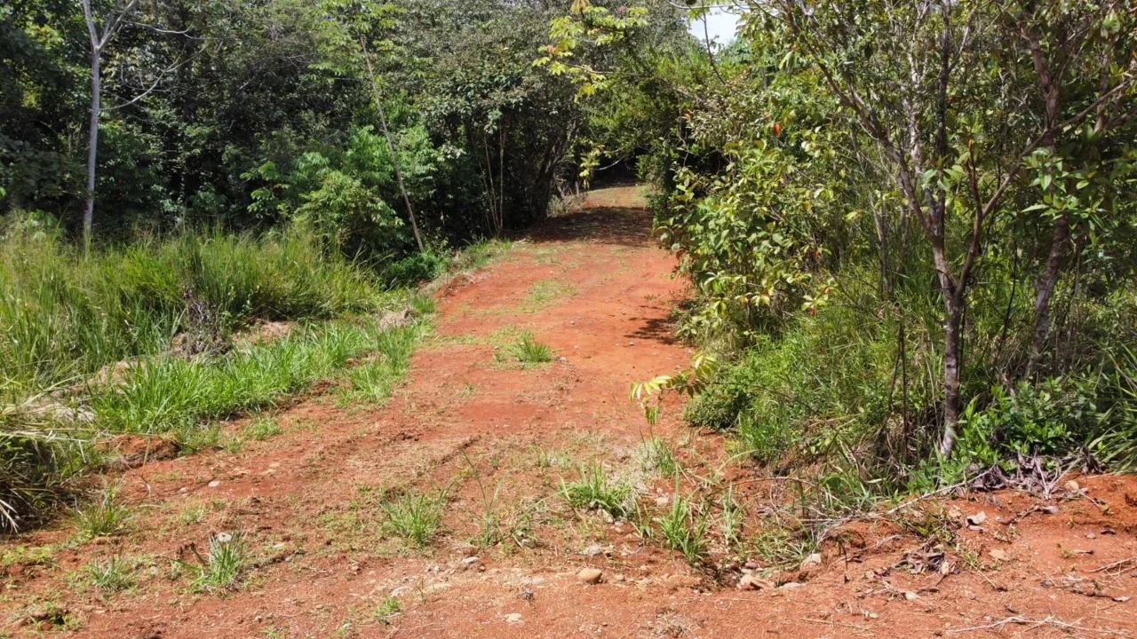 For Sale: 1000 m² lot perfect for residential development — photo 5