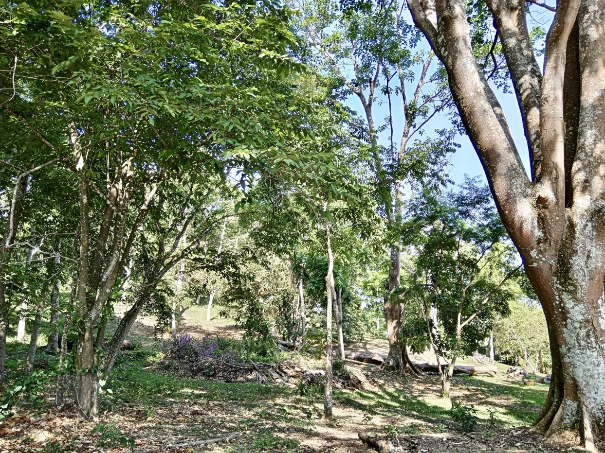 Beautiful views and quiet gated community