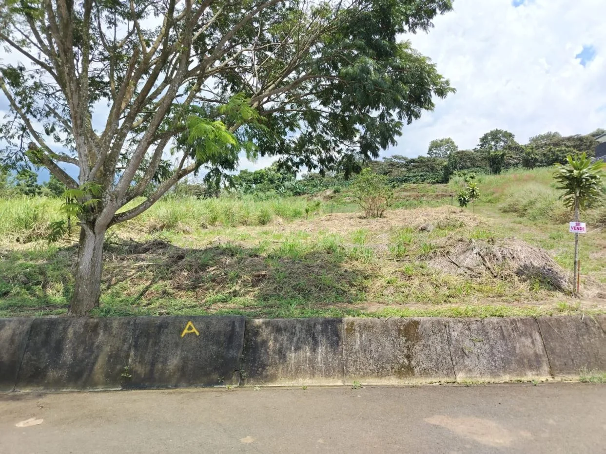 Lot for Sale in Grecia
