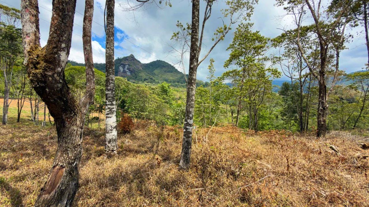 For Sale: Beautiful Mountain 969m2 Residential Lot in Quebradas - CR — photo 5