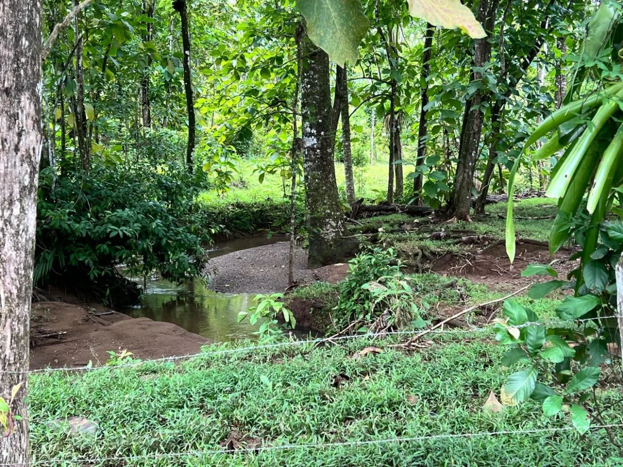 44-Hectare Agricultural Gem with Development Potential in Parrita, Costa Rica