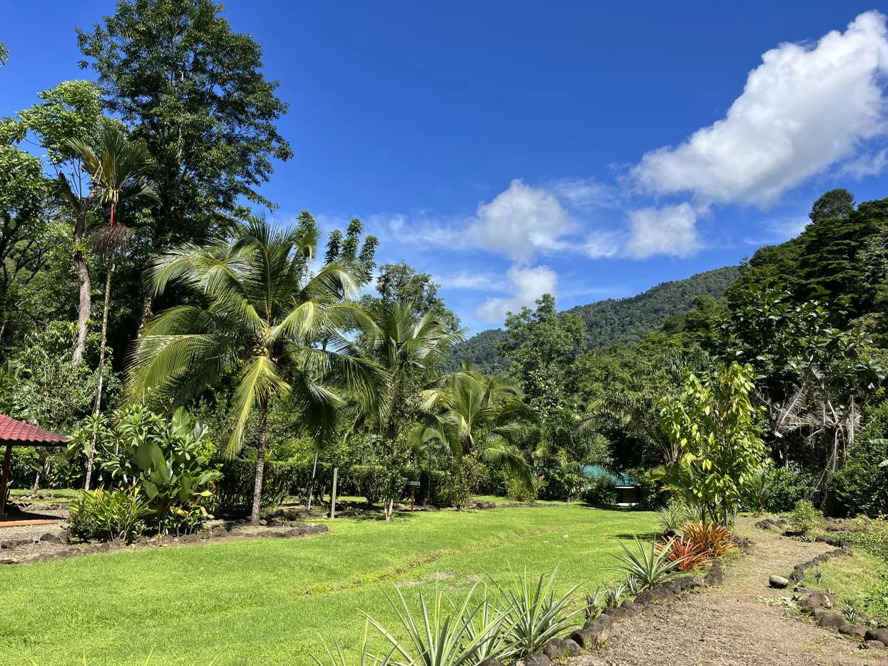 Stunning 16049 sqft Eco-Friendly Lot with Hot Springs, Waterfall Access, and Modern Amenities in Secure Community near Quepos