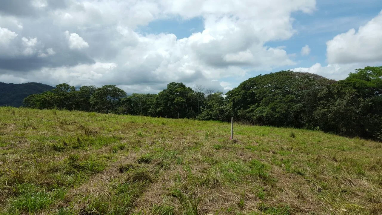 🌄 Unique Investment Opportunity! 11,618 m² Property for Urban or Commercial Development – Right on Route 27