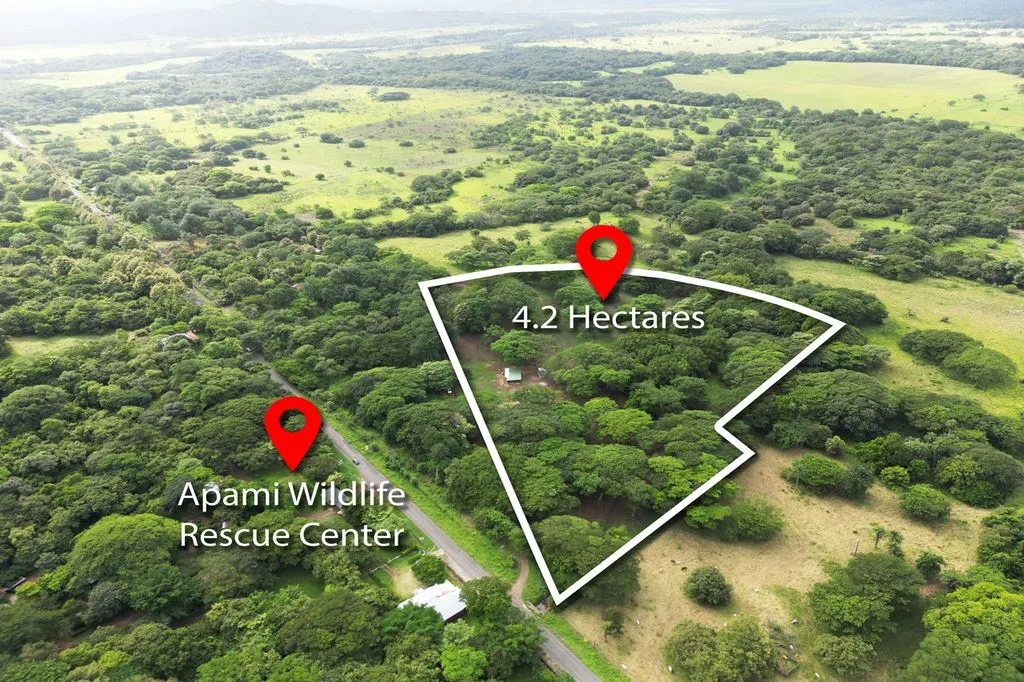 4.2 Hectares in Portegolpe ~ Mountain Views, Water, Security &amp; Agricultural Potential