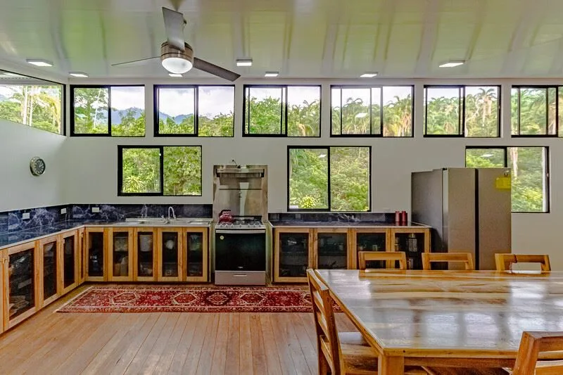 OFF GRID - SELF-SUSTAINABLE HOUSE FOR SALE IN SAN PEDRITO,(1,3HECT) PEREZ ZELEDON — photo 2