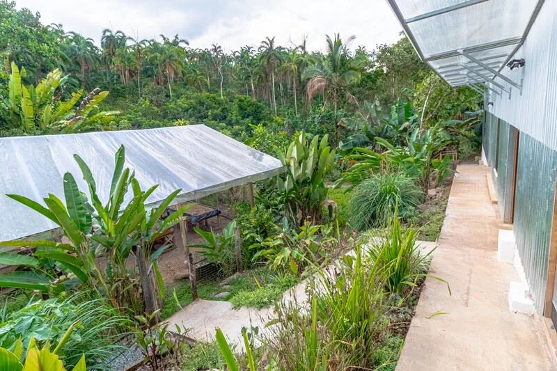 OFF GRID - SELF-SUSTAINABLE HOUSE FOR SALE IN SAN PEDRITO,(1,3HECT) PEREZ ZELEDON — photo 3