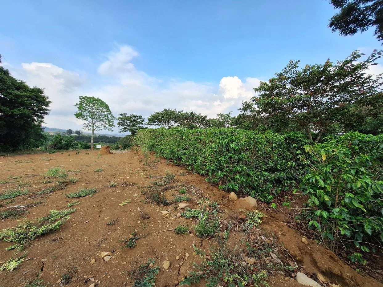 Beatiful land for sale Calle Rodriguez, Grecia