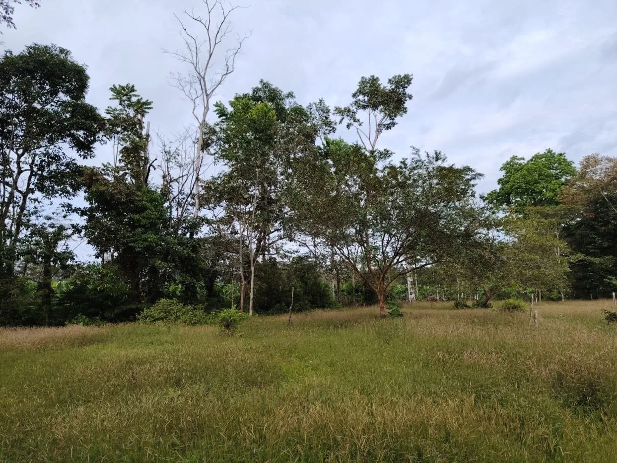 Contry Farm in Guanacaste – Bijagua, Buena Vista