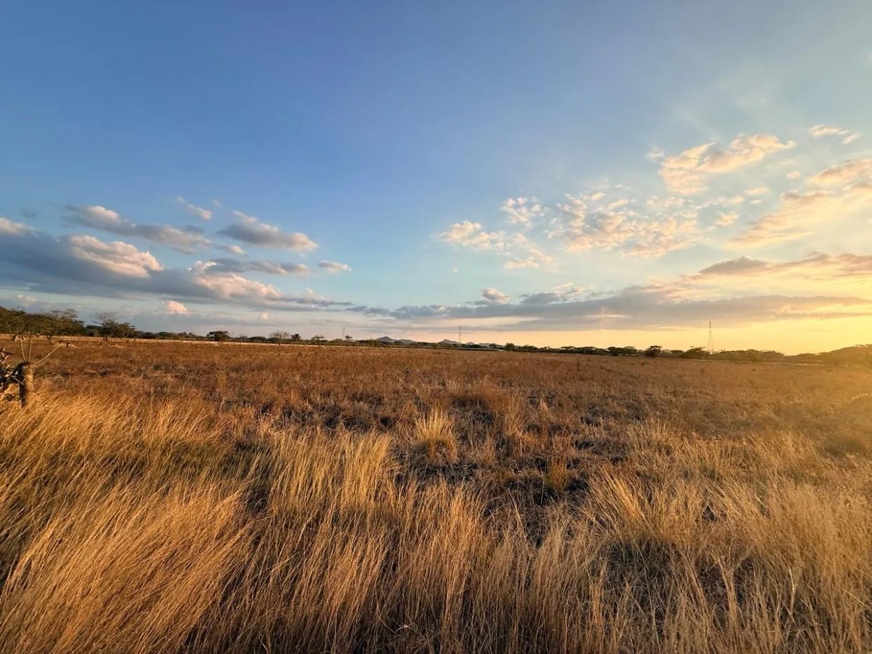 Agricultural Land for Sale in Abangares, Guanacaste – 8 Hectares