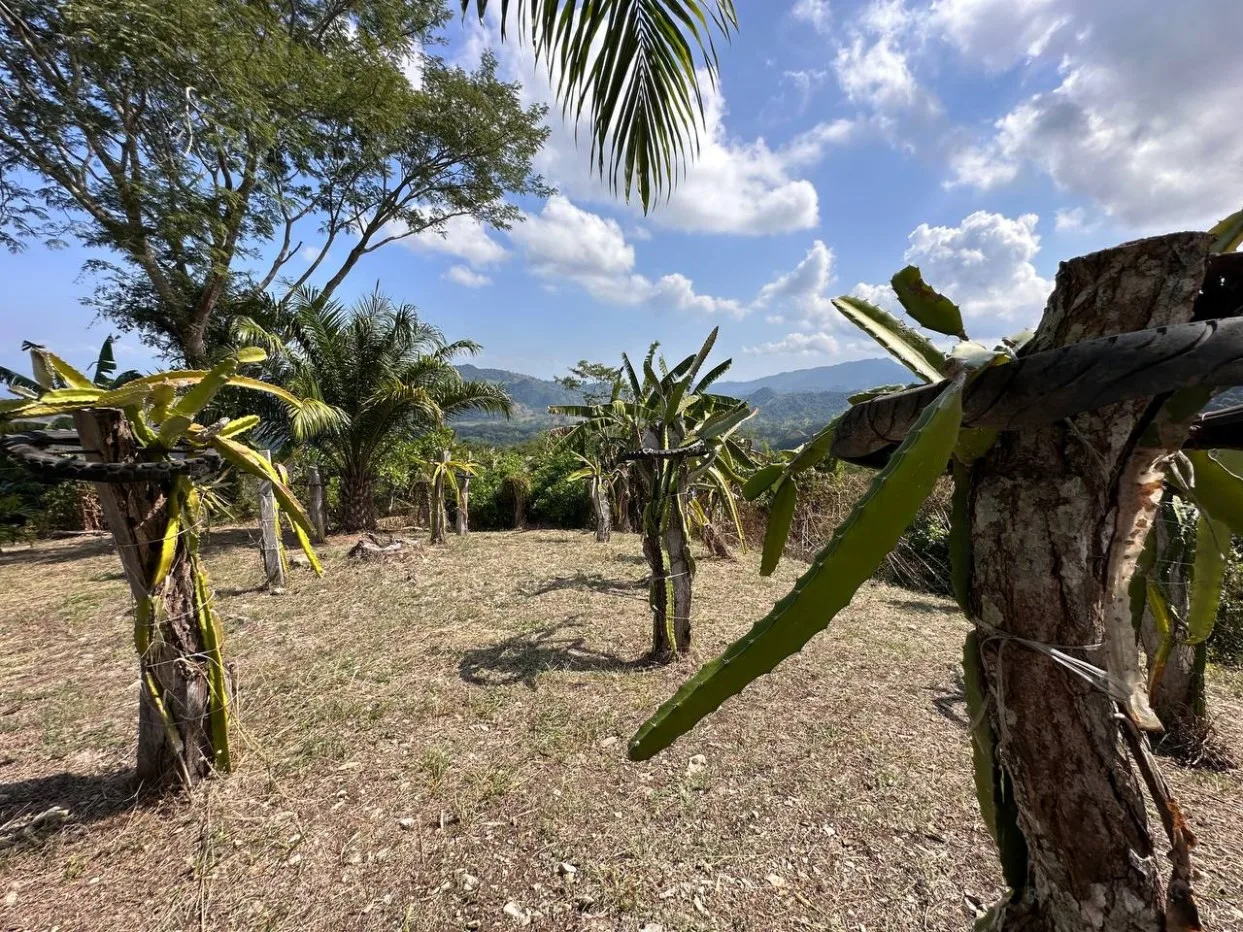 EXCEPTIONAL PROPERTY, AN EAGLE'S NEST IN A LUSH GREEN ENVIRONMENT, COSTA RICA.