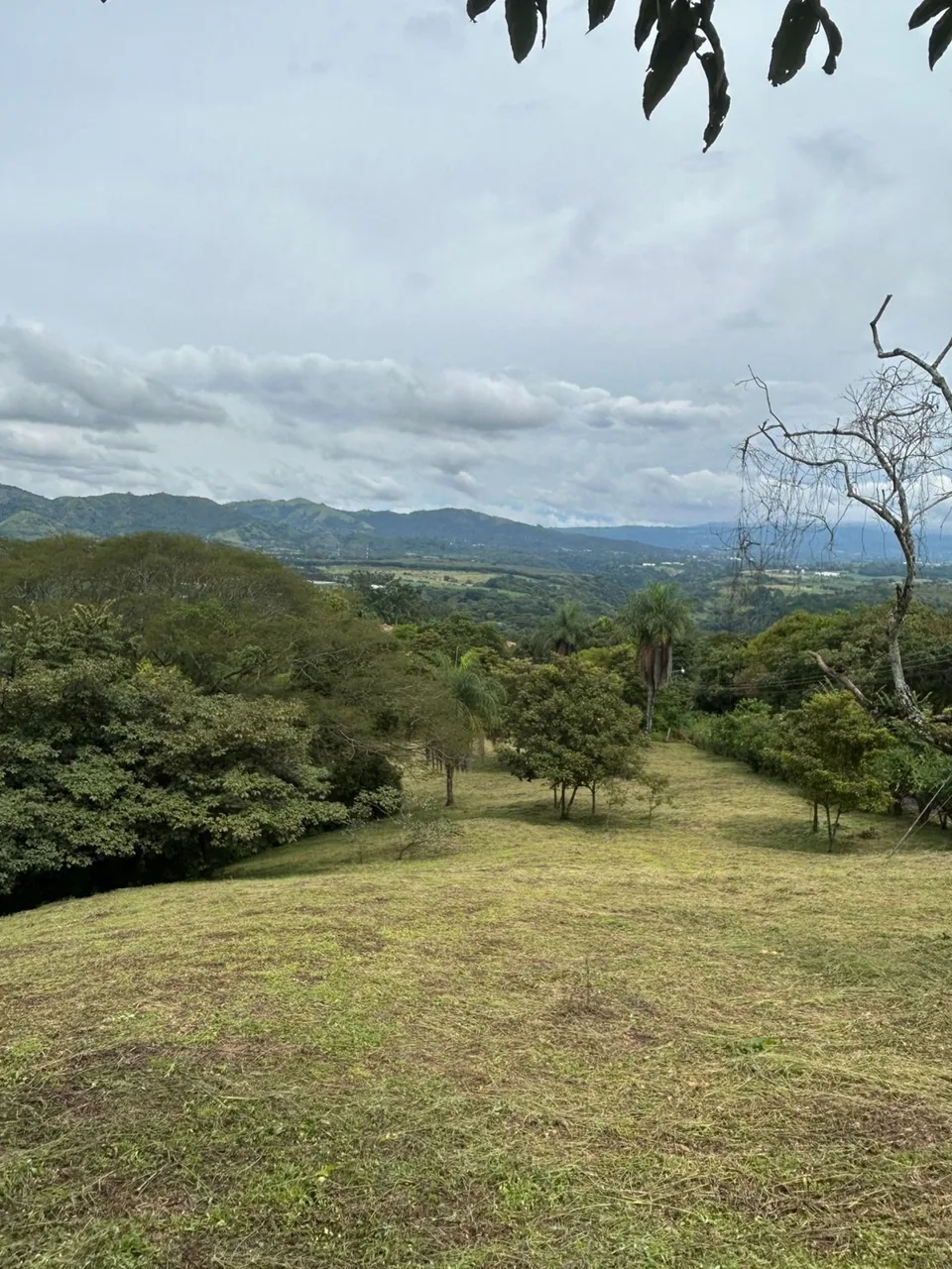 One of the last lots in one of the most exclusive Atenas neighborhoods