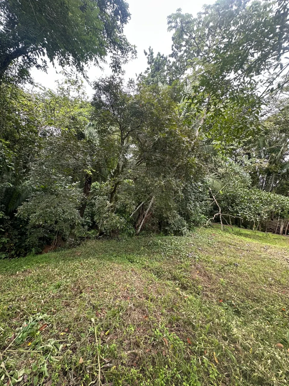 Opportunity, lot for sale in La Mallorquina, Esparza