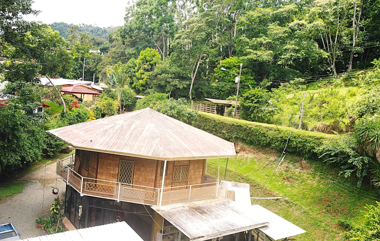 Property for Sale in Barrio La Palma, San Isidro General, Costa Rica