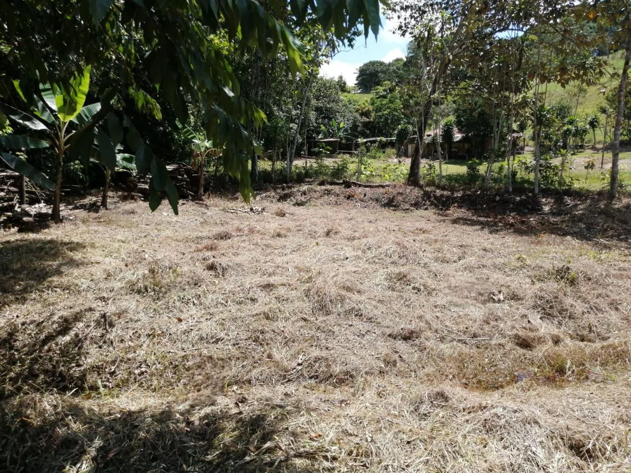 Lot for Sale | 393 m2 | Pilar de Cajón | Tranquility and Proximity to Services