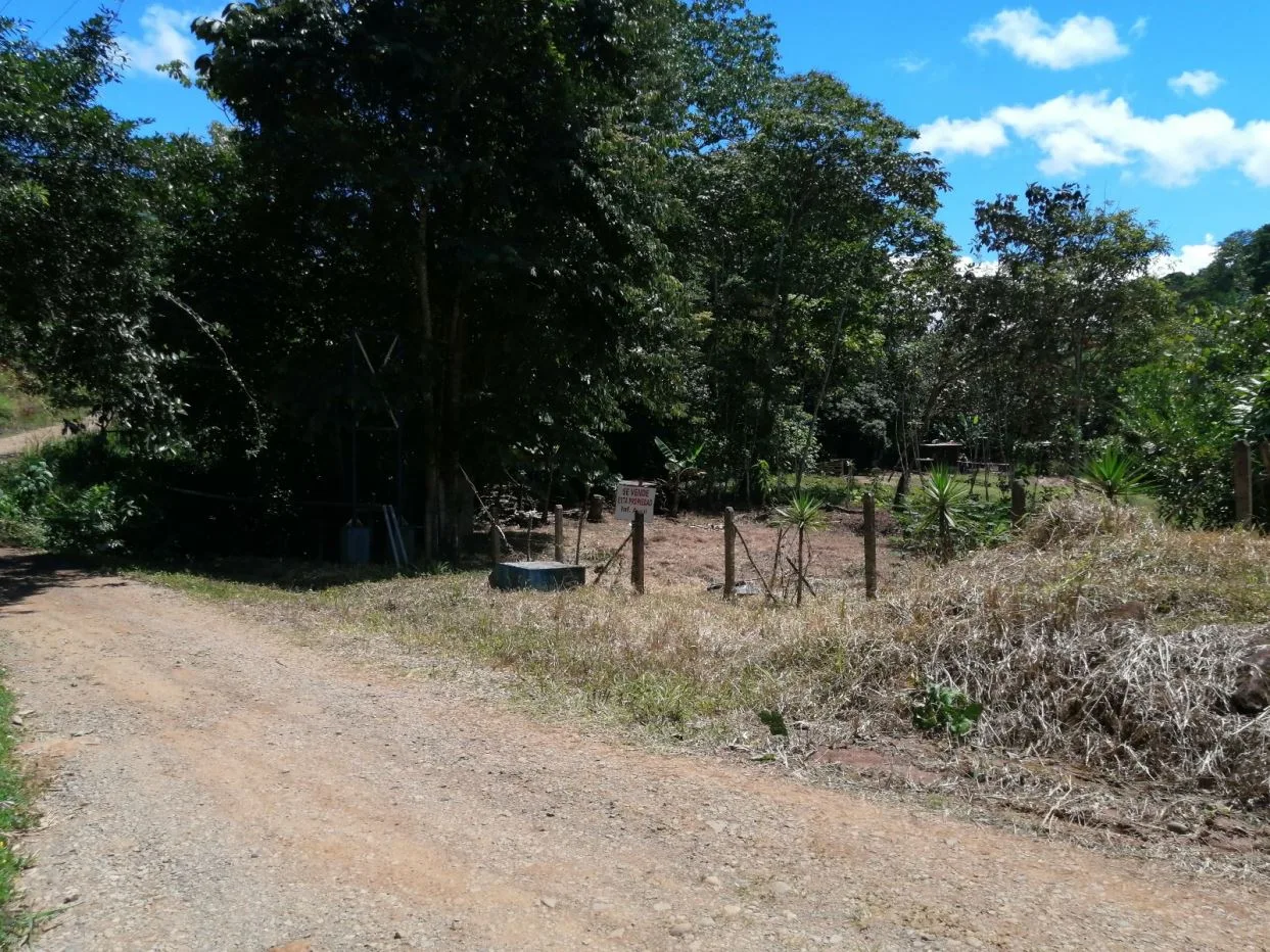 Lot for Sale | 393 m2 | Pilar de Cajón | Tranquility and Proximity to Services — photo 2