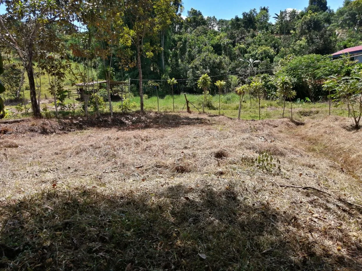 Lot for Sale | 393 m2 | Pilar de Cajón | Tranquility and Proximity to Services — photo 3