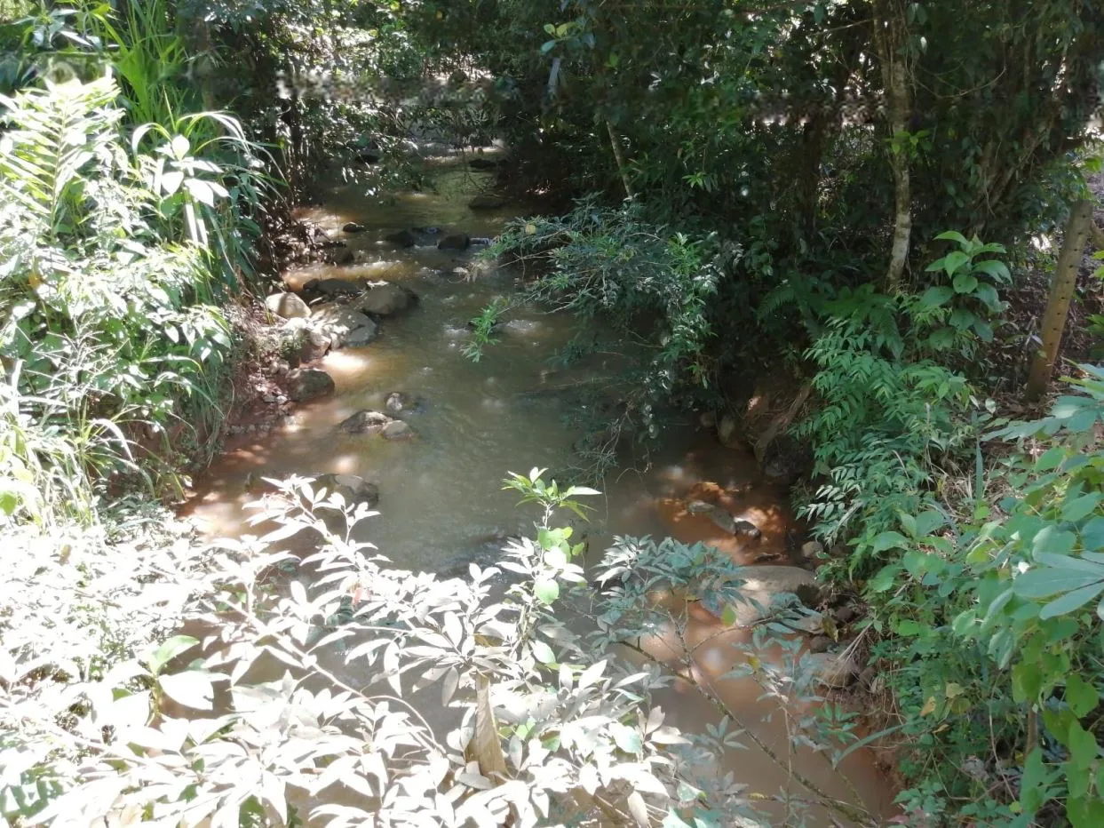 Lot for Sale | 393 m2 | Pilar de Cajón | Tranquility and Proximity to Services — photo 4