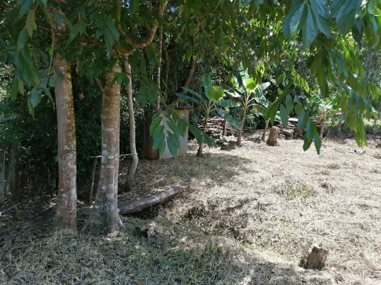Lot for Sale | 393 m2 | Pilar de Cajón | Tranquility and Proximity to Services — photo 5