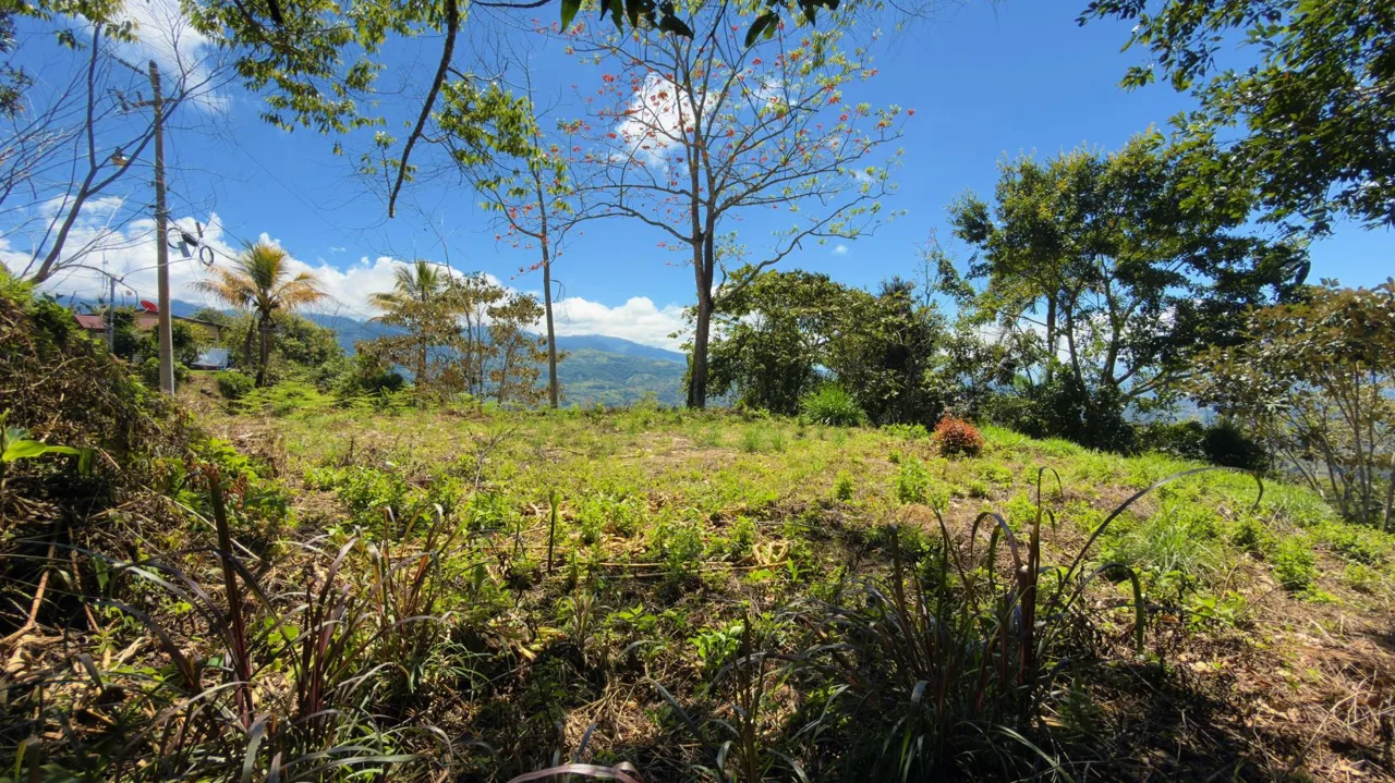 Lot for sale with Spectacular Chirripo Mountain Views Perez Zeledon — photo 3