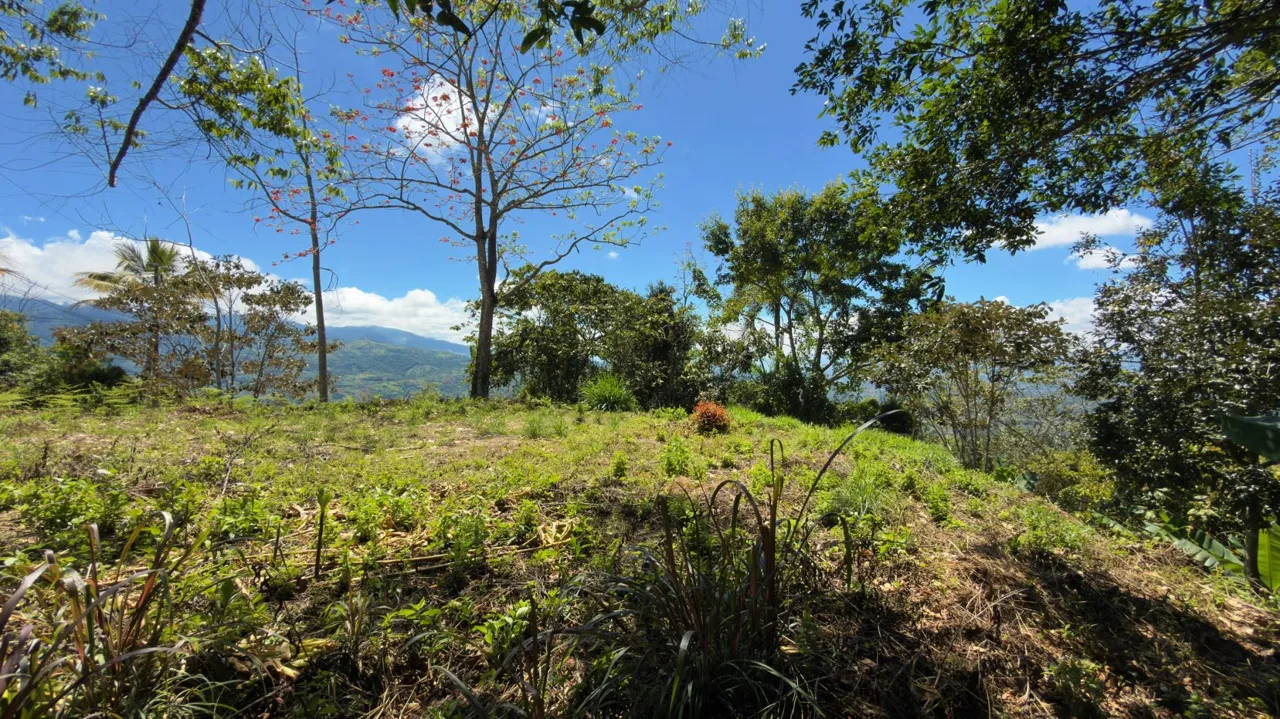 Lot for sale with Spectacular Chirripo Mountain Views Perez Zeledon — photo 4