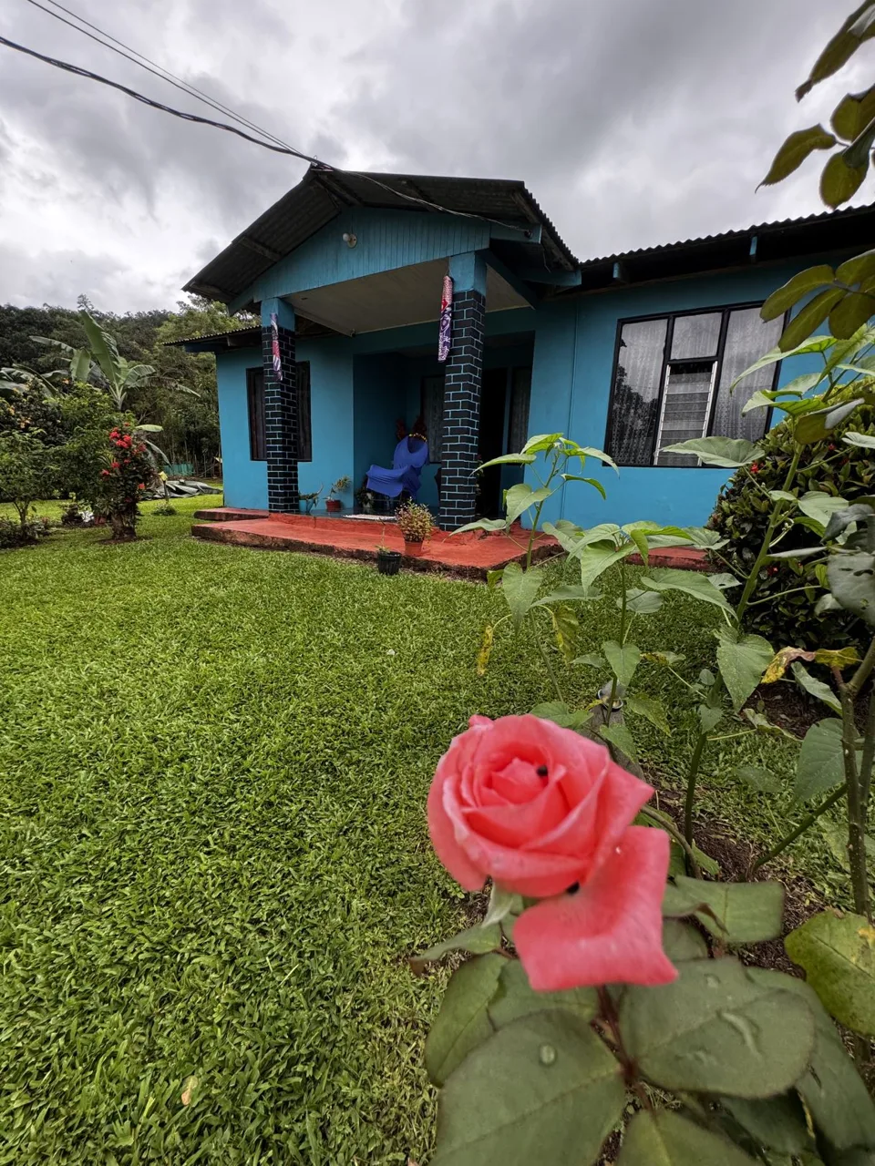 Spacious Property with Fruit Trees and Home for Sale – $79,500