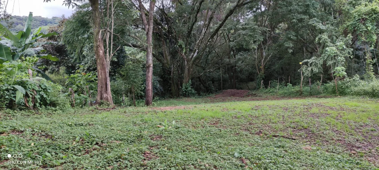 Discover the property you've always dreamed of! 🌳