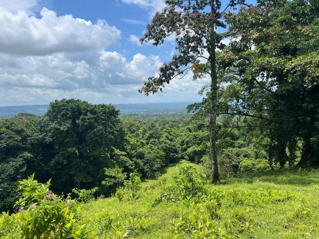 Paradise Awaits: Prime Lot Near La Fortuna Waterfall with Arenal Volcano Views!