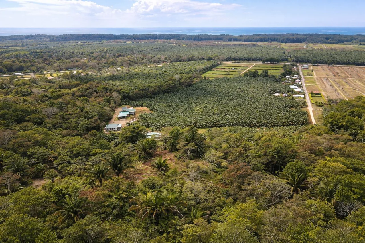 17.2 Acres in the Heart of the Rainforest – Prime Coastal Location Between Manuel Antonio &amp; Dominical