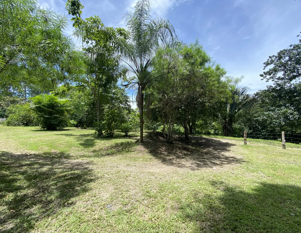 Spacious and private land in Manzanillo