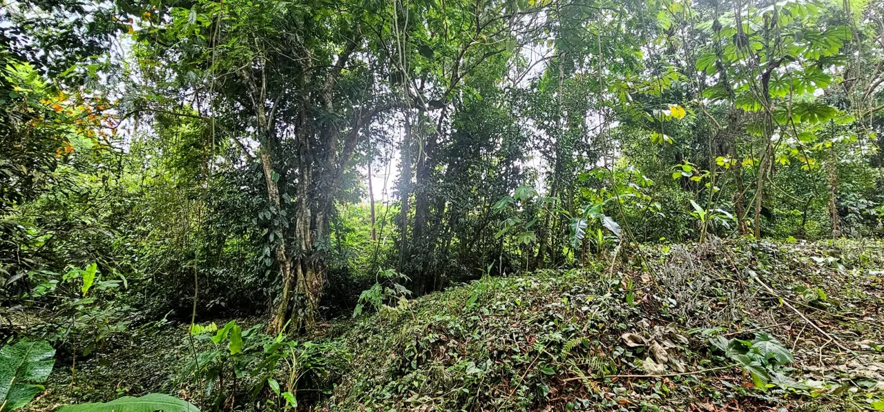 Beautiful Riverside Property in La Tigra – Great Value at ¢55,000,000