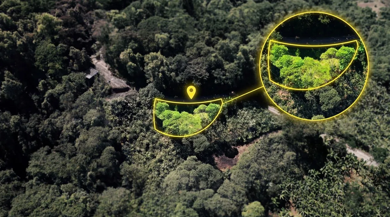 Prime Mountain Land for Sale: 1.48-Acre Estate in Guadalupe de Rivas | Build Your Dream Escape
