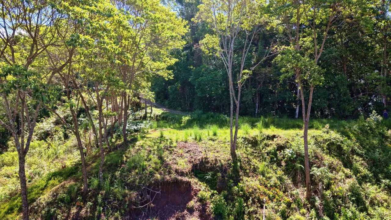 Prime Mountain Land for Sale: 1.48-Acre Estate in Guadalupe de Rivas | Build Your Dream Escape — photo 2