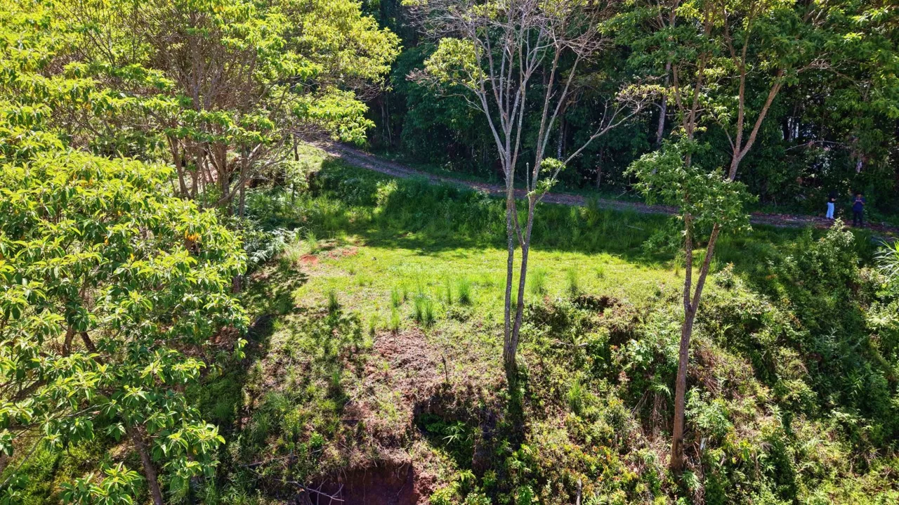 Prime Mountain Land for Sale: 1.48-Acre Estate in Guadalupe de Rivas | Build Your Dream Escape — photo 3