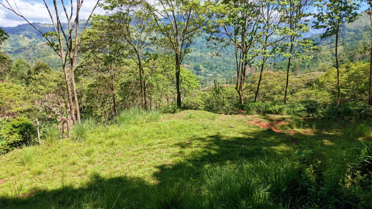 Prime Mountain Land for Sale: 1.48-Acre Estate in Guadalupe de Rivas | Build Your Dream Escape — photo 4