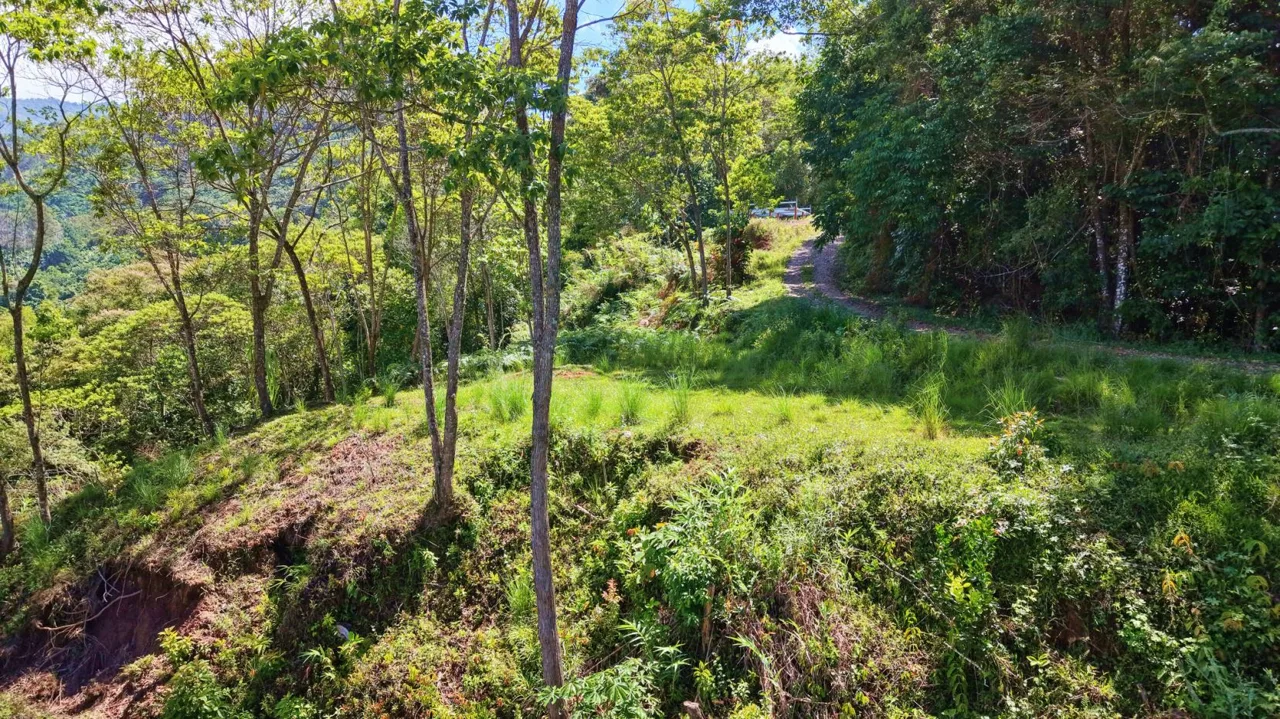 Prime Mountain Land for Sale: 1.48-Acre Estate in Guadalupe de Rivas | Build Your Dream Escape — photo 5