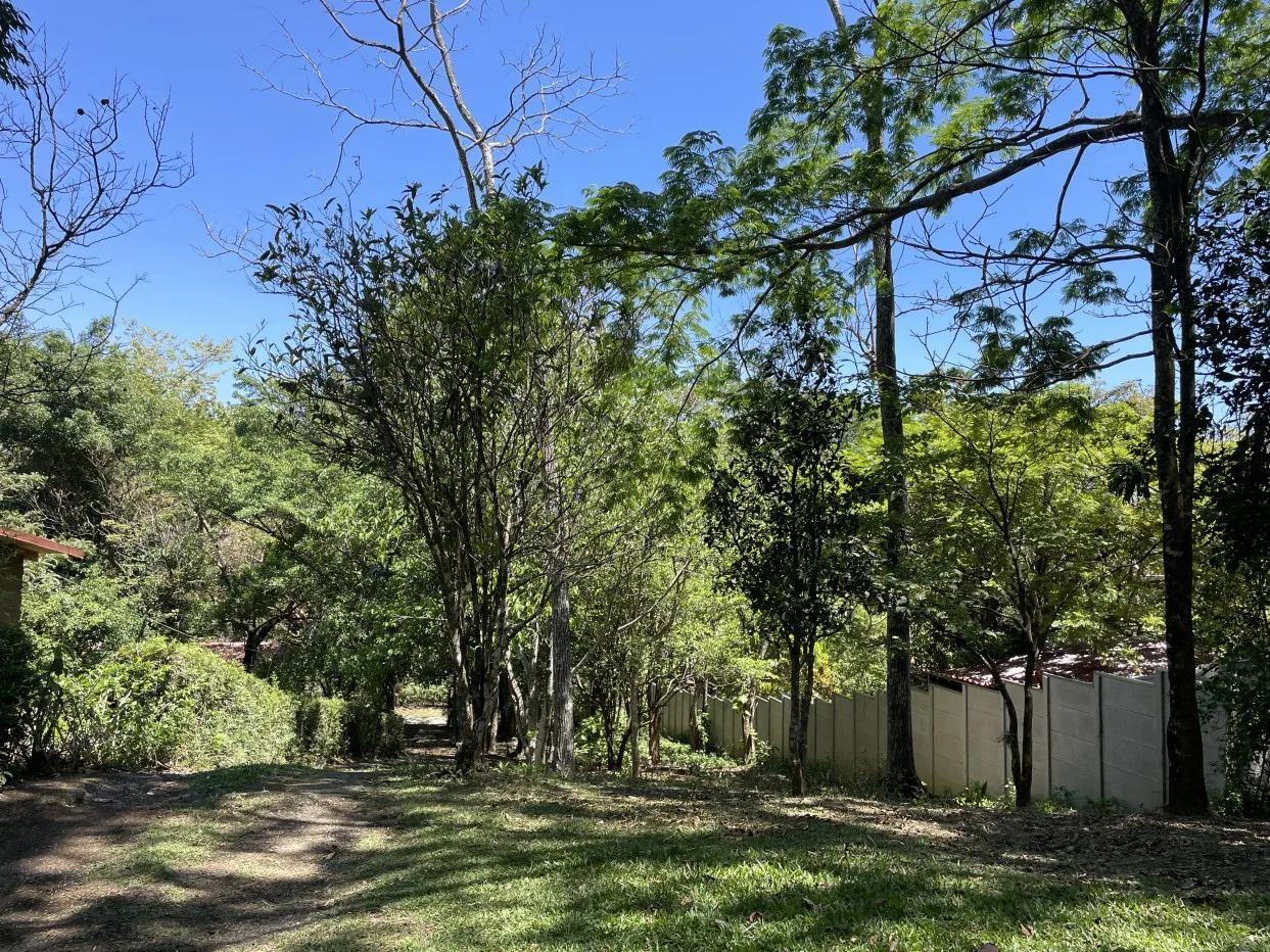 FOR SALE - house surrounded by nature en Rodeo, Mora — photo 2