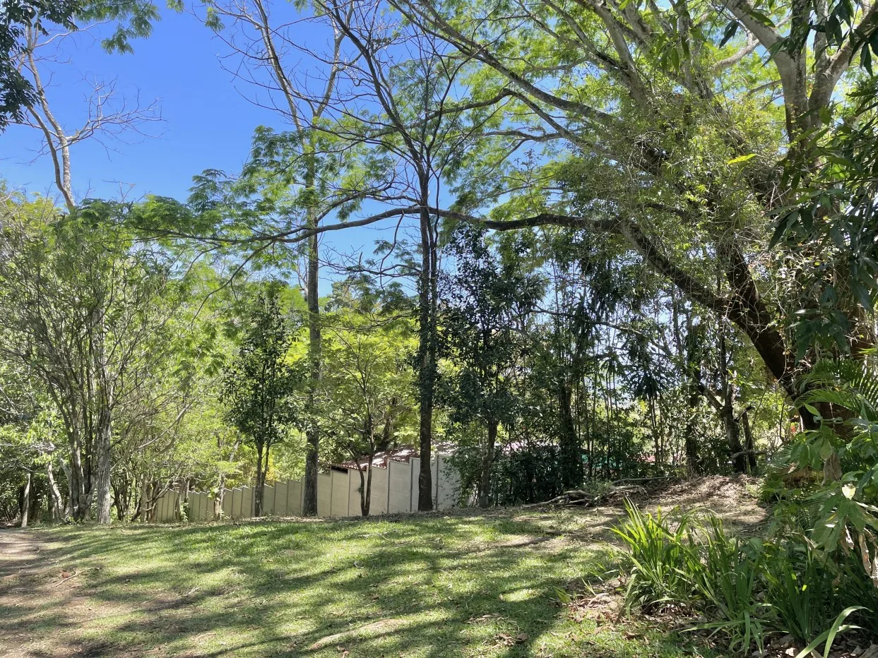 FOR SALE - house surrounded by nature en Rodeo, Mora — photo 3