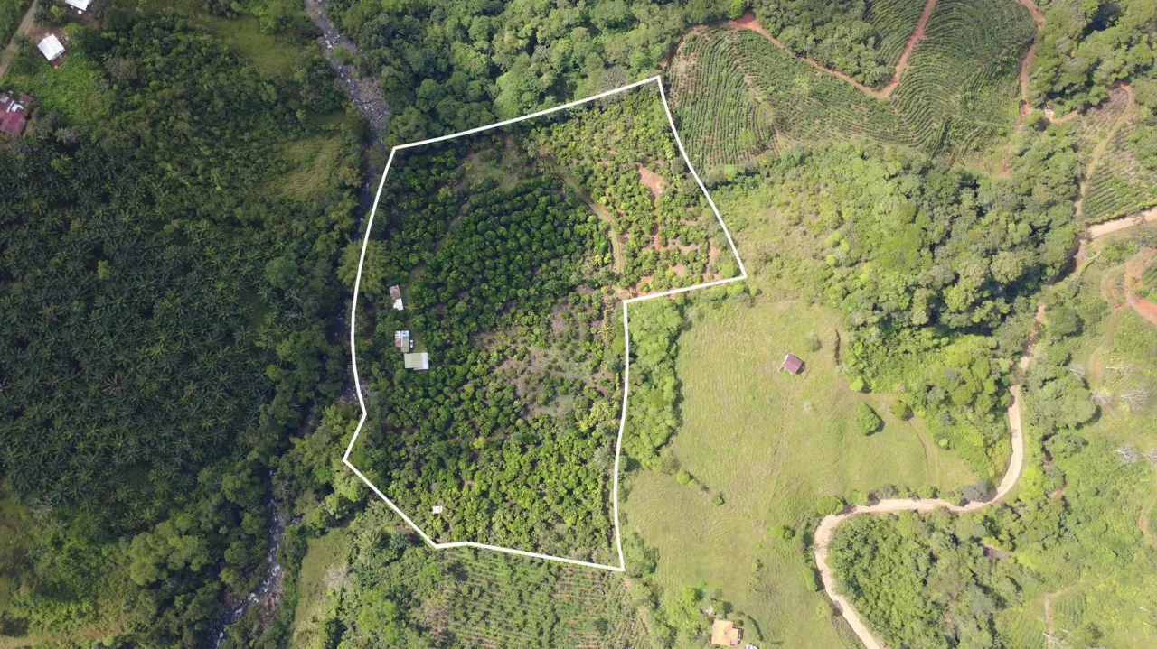 Income-Producing Tropical Farm for Sale in Pérez Zeledón, Costa Rica