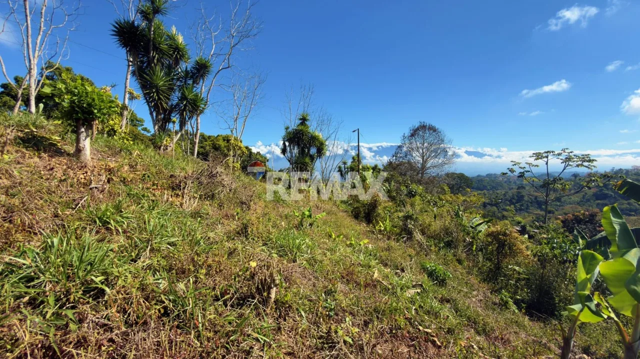 Lot for Sale Views to Talamanca — photo 2