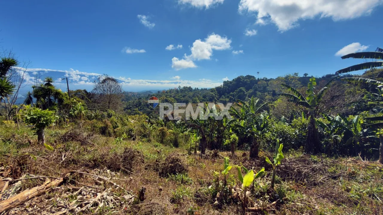 Lot for Sale Views to Talamanca — photo 4