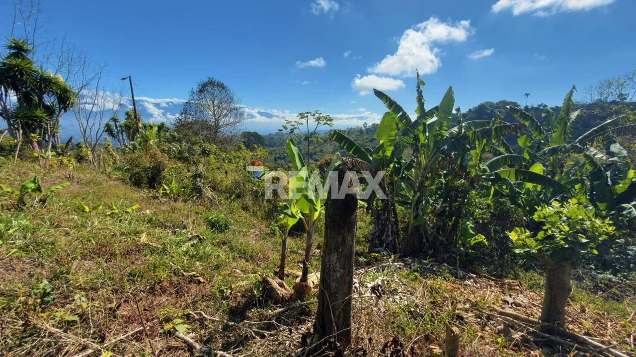 Lot for Sale Views to Talamanca — photo 5