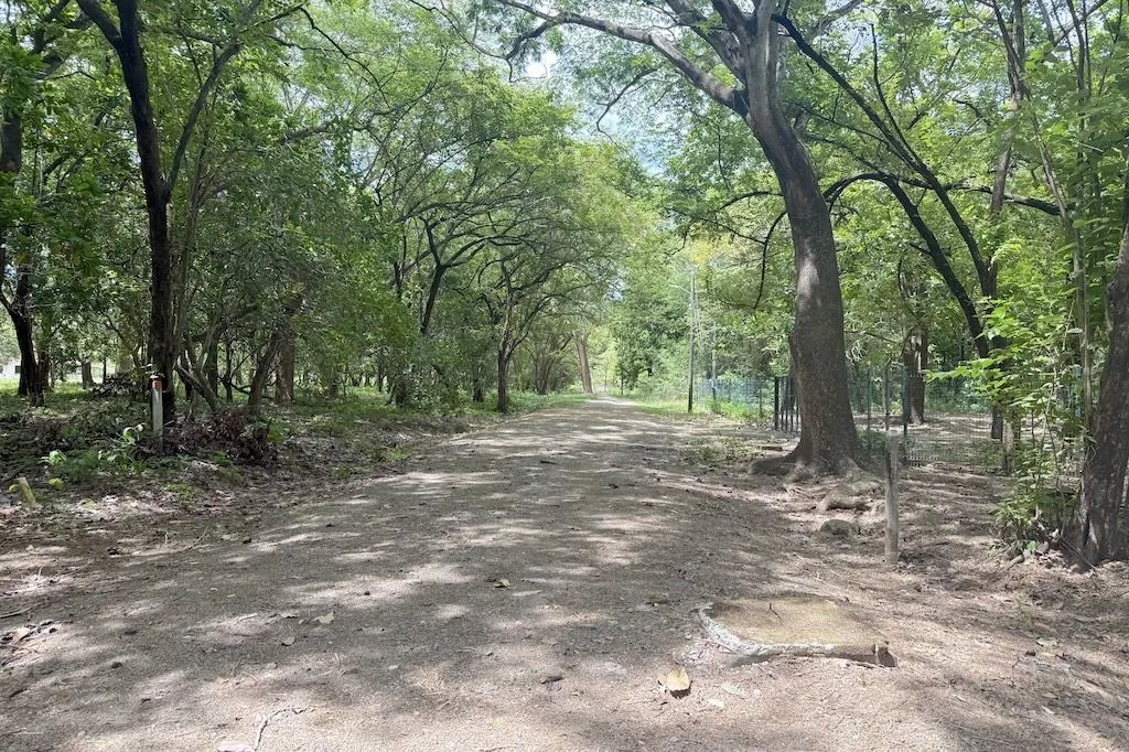 PRICED TO SELL FAST at $30/m2 ~ Flat Riverfront Lot Near Playa Junquillal