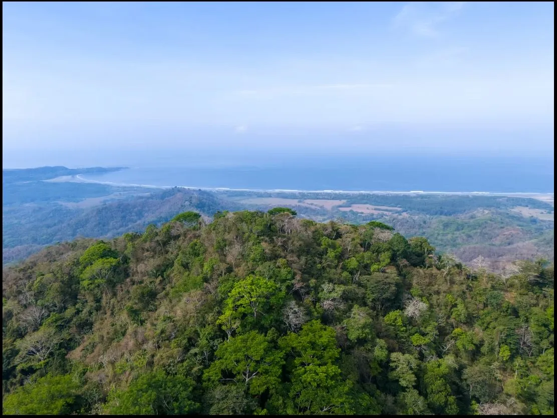 108 Hectares with Ocean-View Ridge and Mountain Terraces in Millal, Bejuco